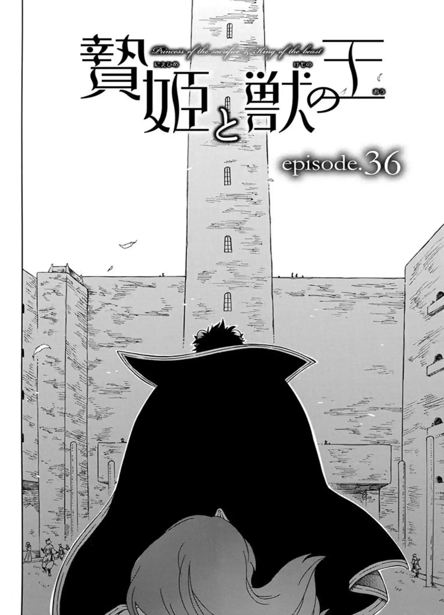 Niehime to Kemono no Ou Chapter 36 6